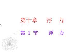 浮力第17页国产,浮力原理在现代工程应用中的关键作用