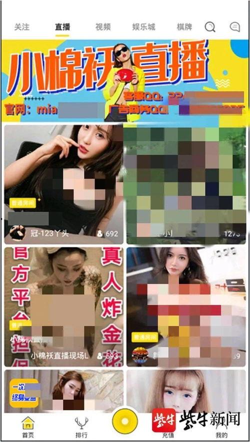 成人app直播,互动娱乐新风尚